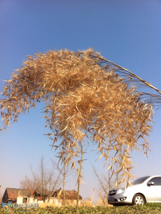 ��Ƭ2013 401.jpg