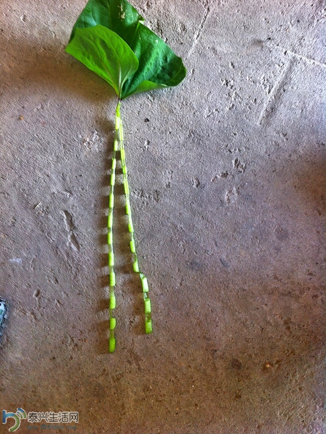 ��Ƭ2013 1242.jpg