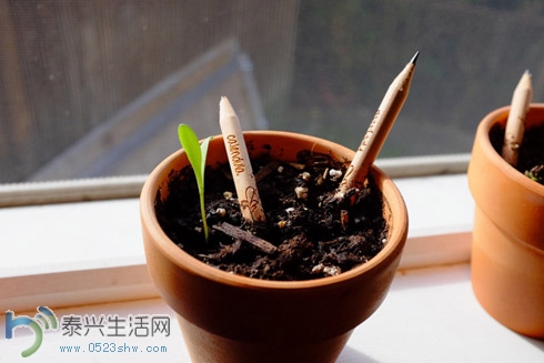 20140413-Sprout-Pencil-2.jpg