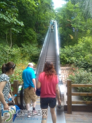 1402436187360 -1768529619.jpg