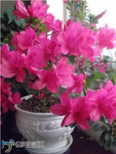 QQͼƬ20150121135334.png