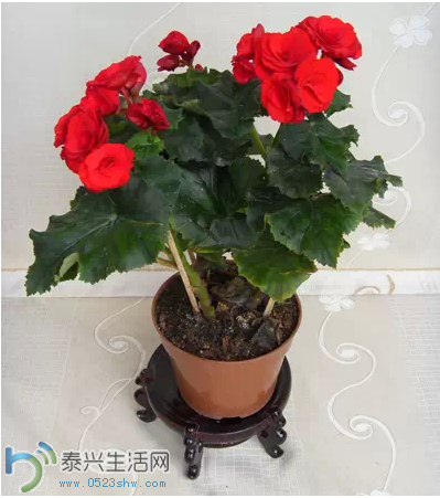 QQͼƬ20150121135416.png