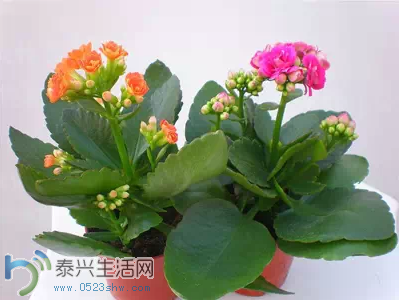 QQͼƬ20150121135500.png