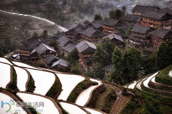 740F0EA00165.jpg