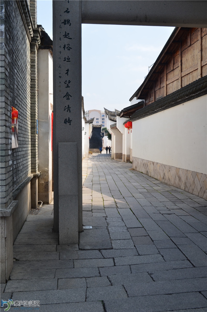 DSC_0113.jpg
