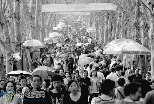 U7868P1190DT20140331074729.jpg