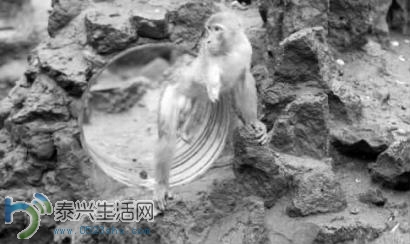 13f8390e-0db3-40a0-9fa3-39ff302b2f1c.jpg