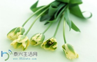 rBUyLlNCRHfz4e2XAAA-MpIuA-k438.jpg