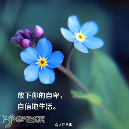 1404116-1.jpg