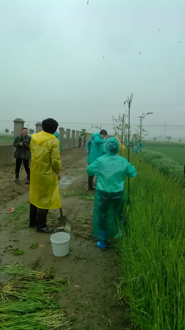 20140412081225_15885.jpg