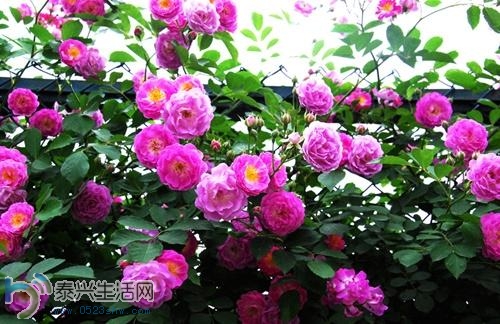 20140414101618634.jpg