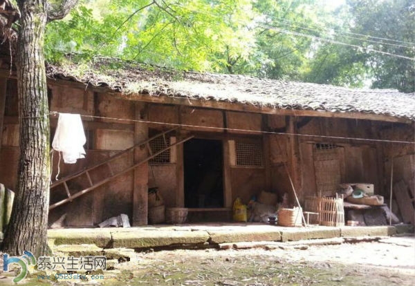 Img398360856.jpg