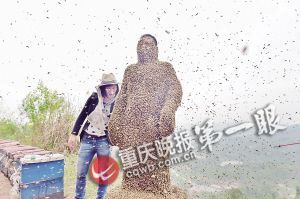 rBUyLlNF6rH69Q-FAAA_wHV1iyU720.jpg