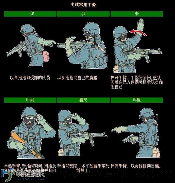 s_d3a9cafbc9554da6970a4fbdd70c66c8.jpg