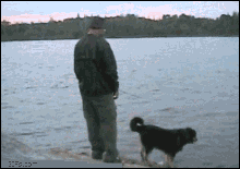 6D436FF8FB34.gif