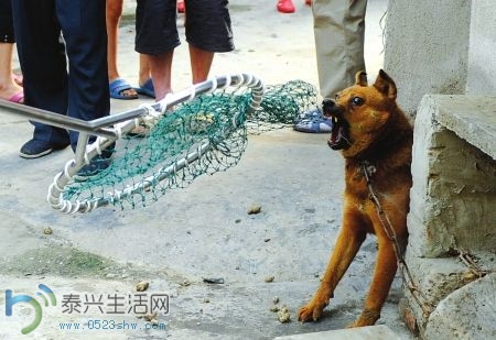 20140424074335430.jpg