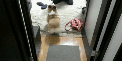 757730637405127742.gif