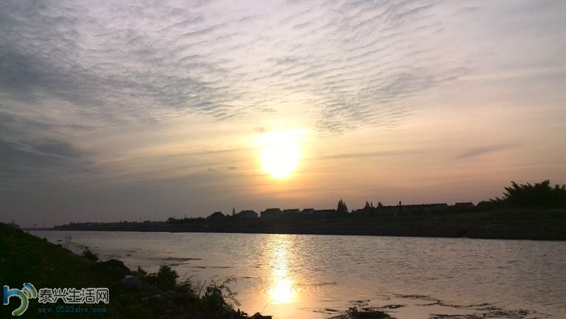 IMG_20140509_180927.jpg