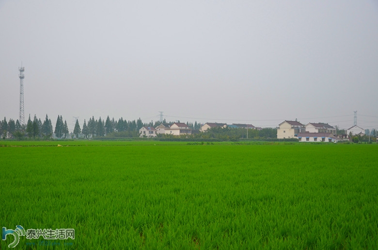 DSC_1152_.jpg