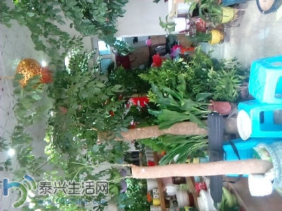 124014fsutylak69ayu96u.jpg
