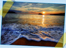 4.GIF