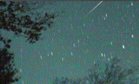 8.GIF