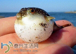 2.GIF