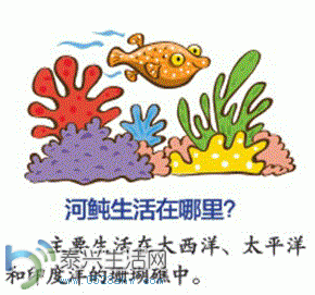 5.GIF