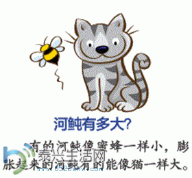 3.GIF