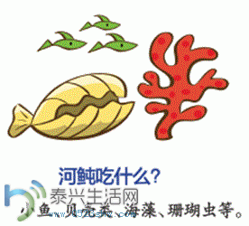 4.GIF