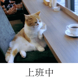 3.gif