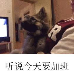 7.gif