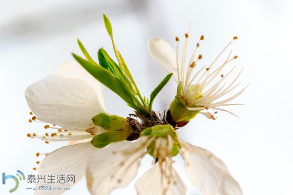 mp8323497_1427494526941_25.jpg