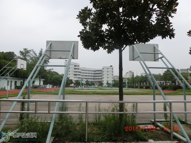 135809bdt5fnfbcdtgzg20.jpg