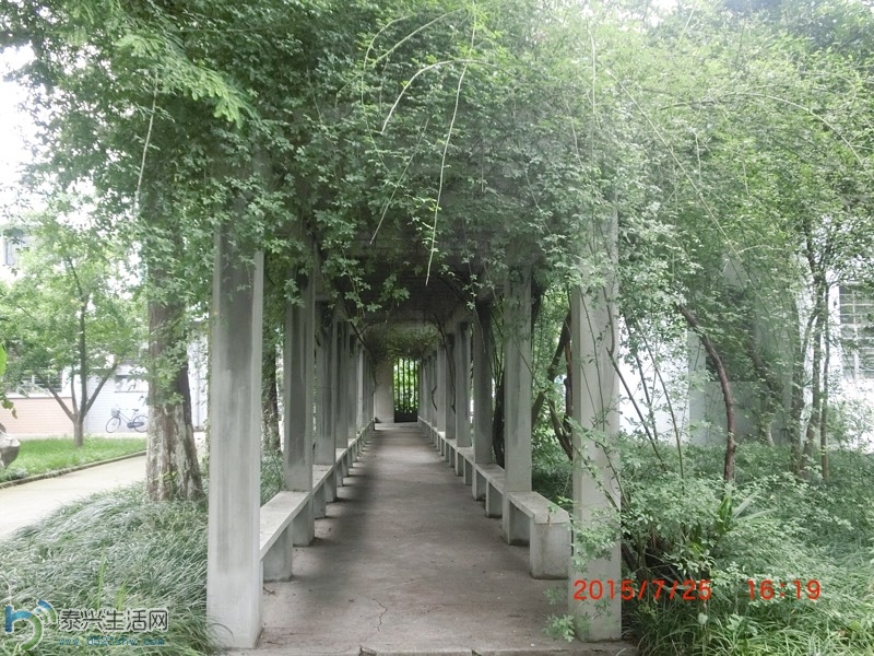 135810ovtzswxnynvrsjww.jpg