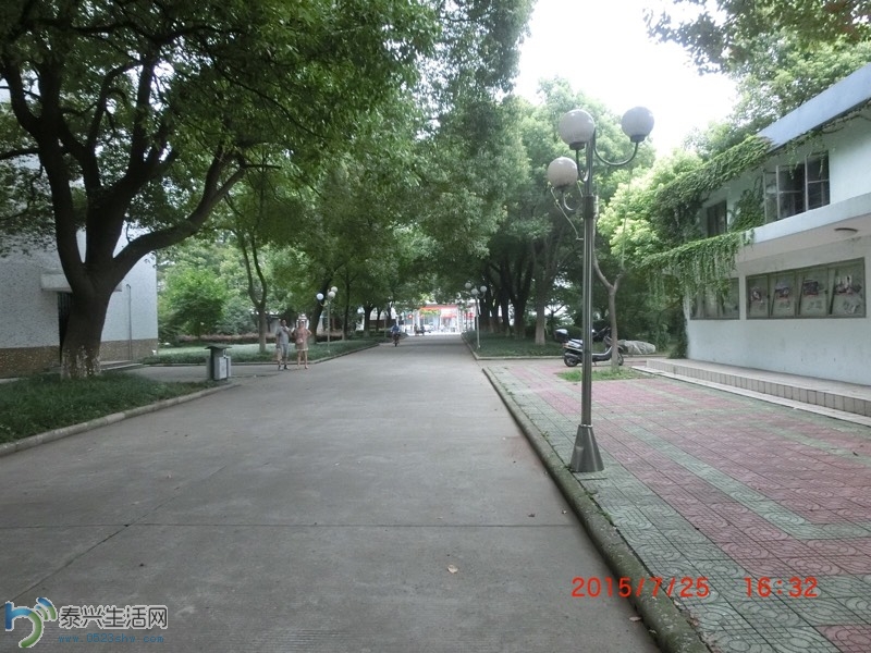 135811cajjjqlmlkg8j6jj.jpg