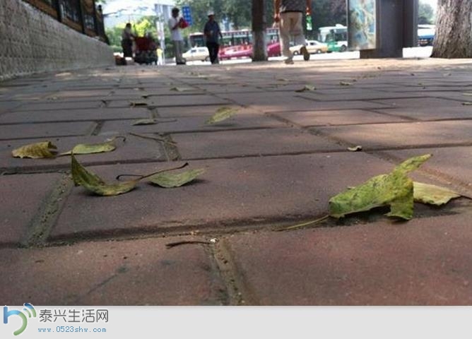 360ͼ20150811083649789.jpg