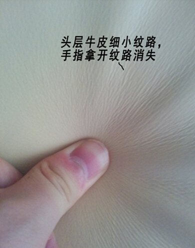 b_376847224.jpg