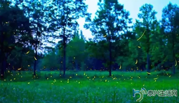 QQͼ20160520095724.png