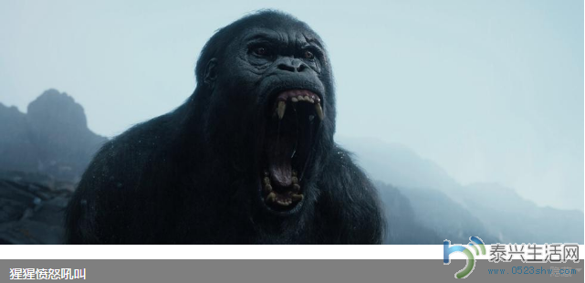 QQͼ20160531090539.png
