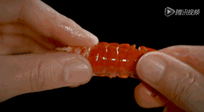 9aa0002f4ae09705b6a.gif