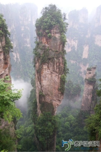 105523fve2v8m0bb7v9orm.jpg.thumb.jpg