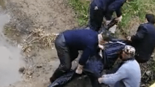 2.gif
