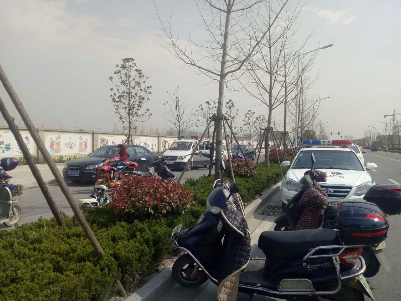 mmexport1490681575239.jpg