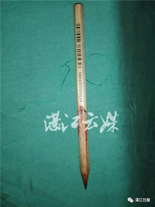 2c81d85.jpg