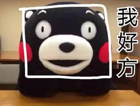 a748cc97a4208c751a2e8398b74b64d8.jpg