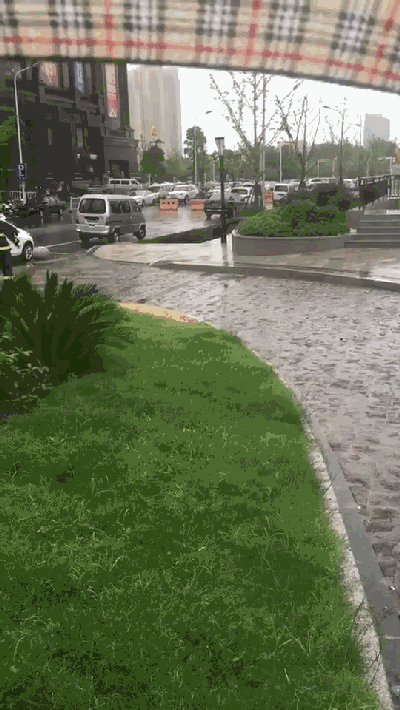 4.gif