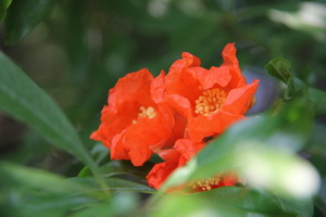 IMG_6401_С.JPG
