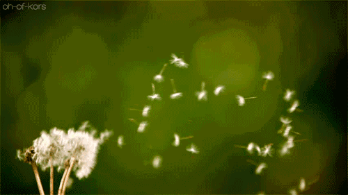 ΢ͼƬ_20170627090611.gif