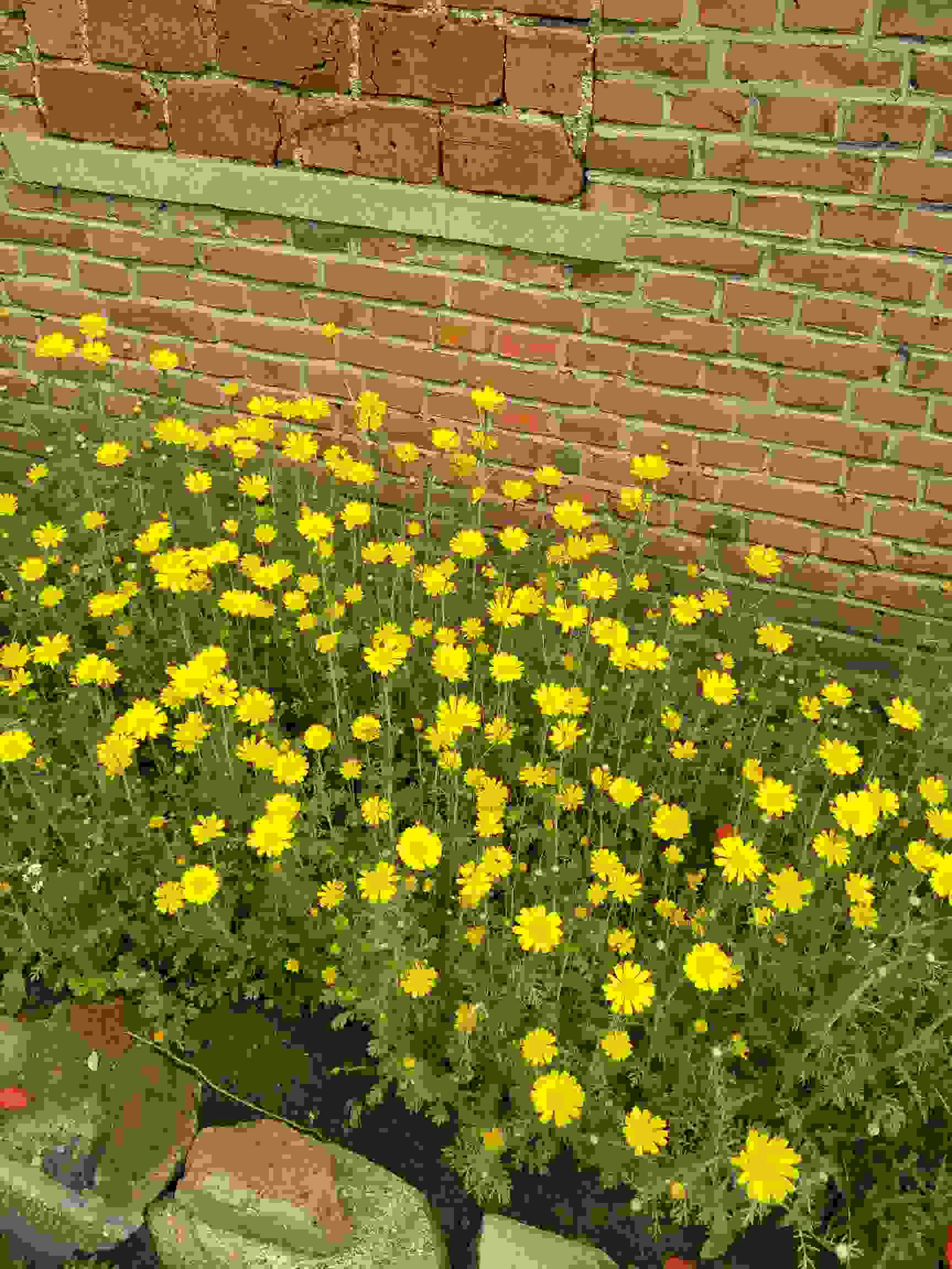 UsLWw95Idi5z.jpg